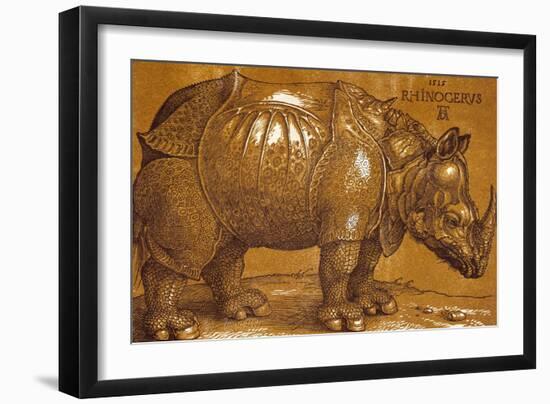 The Rhinoceros, 1515 Pen and ink, wash.-Albrecht Dürer-Framed Giclee Print