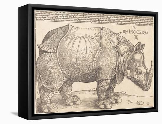 The Rhinoceros, 1515 (Woodcut on Laid Paper)-Albrecht Dürer or Duerer-Framed Premier Image Canvas