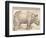 The Rhinoceros, 1515 (Woodcut on Laid Paper)-Albrecht Dürer or Duerer-Framed Giclee Print