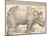 The Rhinoceros, 1515 (Woodcut on Laid Paper)-Albrecht Dürer or Duerer-Mounted Giclee Print