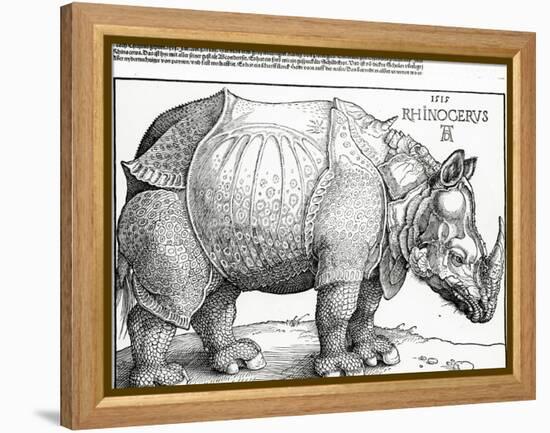 The Rhinoceros, 1515 (Woodcut)-Albrecht Dürer-Framed Premier Image Canvas