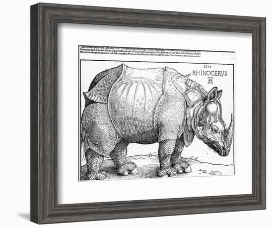 The Rhinoceros, 1515 (Woodcut)-Albrecht Dürer-Framed Giclee Print