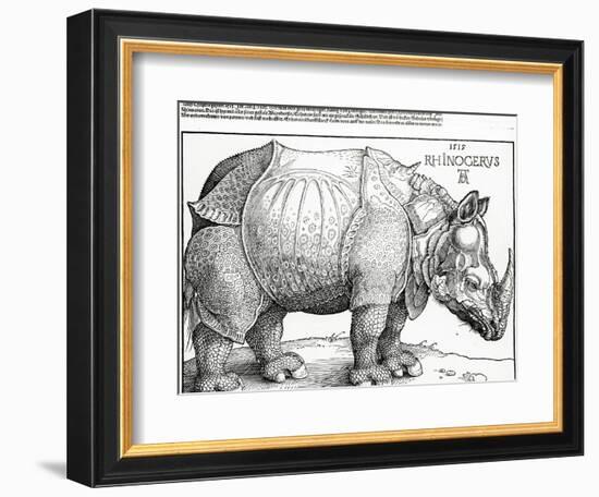 The Rhinoceros, 1515 (Woodcut)-Albrecht Dürer-Framed Giclee Print