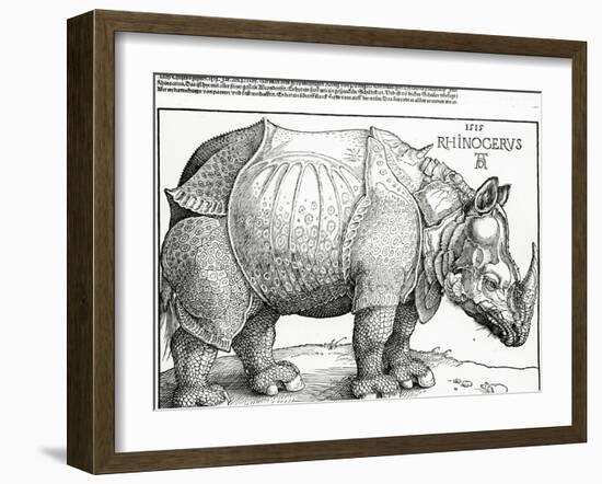 The Rhinoceros, 1515 (Woodcut)-Albrecht Dürer-Framed Giclee Print