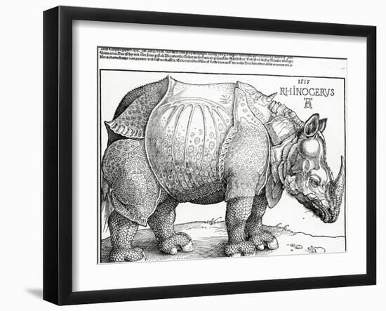 The Rhinoceros, 1515 (Woodcut)-Albrecht Dürer-Framed Giclee Print