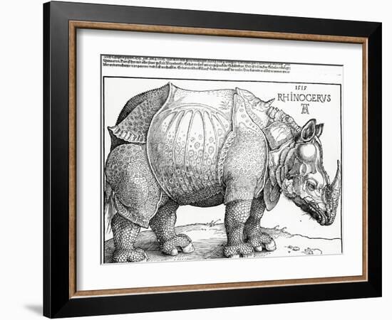 The Rhinoceros, 1515 (Woodcut)-Albrecht Dürer-Framed Giclee Print