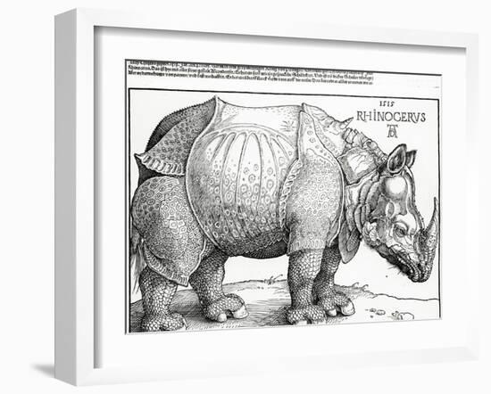 The Rhinoceros, 1515 (Woodcut)-Albrecht Dürer-Framed Giclee Print