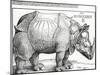 The Rhinoceros, 1515 (Woodcut)-Albrecht Dürer-Mounted Giclee Print