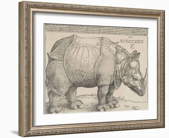 The Rhinoceros, 1515-Albrecht Drer-Framed Giclee Print