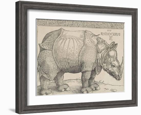 The Rhinoceros, 1515-Albrecht Drer-Framed Giclee Print