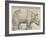 The Rhinoceros, 1515-Albrecht Drer-Framed Giclee Print