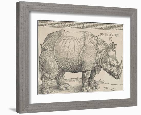 The Rhinoceros, 1515-Albrecht Drer-Framed Giclee Print