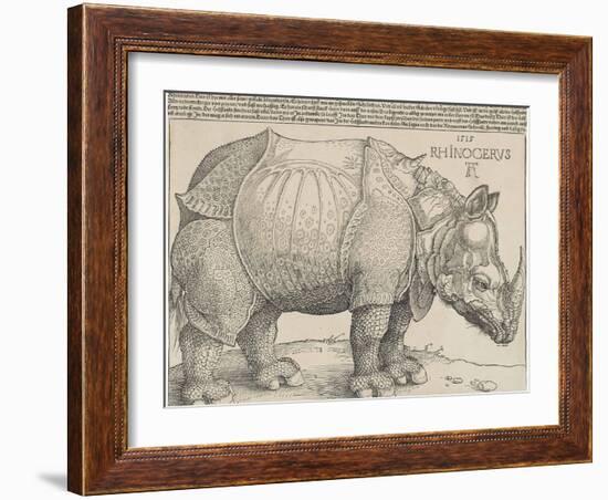 The Rhinoceros, 1515-Albrecht Drer-Framed Giclee Print