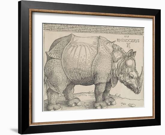 The Rhinoceros, 1515-Albrecht Drer-Framed Giclee Print