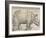 The Rhinoceros, 1515-Albrecht Drer-Framed Giclee Print