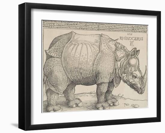 The Rhinoceros, 1515-Albrecht Drer-Framed Giclee Print