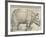 The Rhinoceros, 1515-Albrecht Drer-Framed Giclee Print