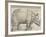 The Rhinoceros, 1515-Albrecht Drer-Framed Giclee Print