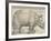 The Rhinoceros, 1515-Albrecht Drer-Framed Giclee Print