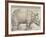 The Rhinoceros, 1515-Albrecht Drer-Framed Giclee Print