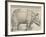 The Rhinoceros, 1515-Albrecht Drer-Framed Giclee Print