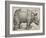 The Rhinoceros, 1515-Albrecht Dürer-Framed Giclee Print