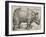 The Rhinoceros, 1515-Albrecht Dürer-Framed Giclee Print