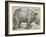 The Rhinoceros, 1515-Albrecht Dürer-Framed Giclee Print