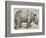 The Rhinoceros, 1515-Albrecht Dürer-Framed Giclee Print