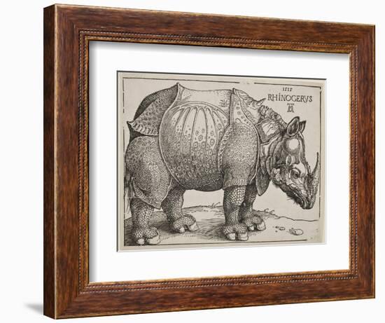 The Rhinoceros, 1515-Albrecht Dürer-Framed Giclee Print