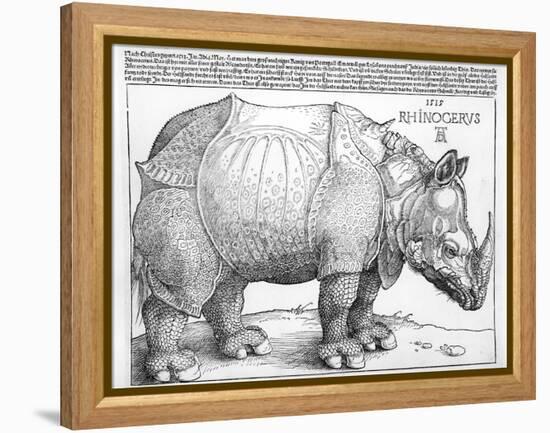 The Rhinoceros, 1515-Albrecht Dürer-Framed Premier Image Canvas