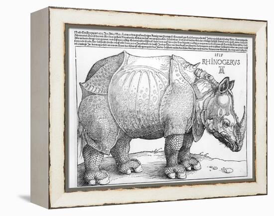 The Rhinoceros, 1515-Albrecht Dürer-Framed Premier Image Canvas