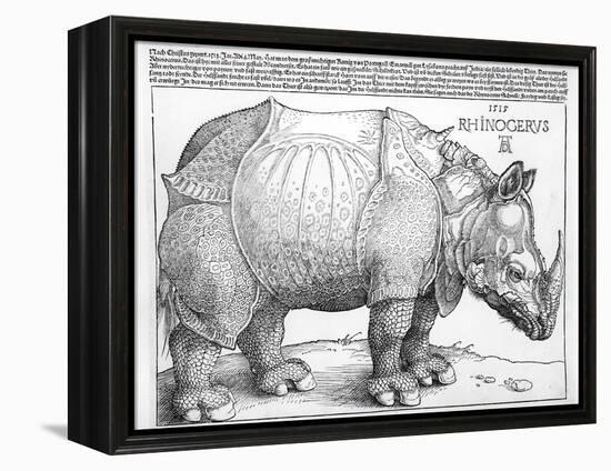 The Rhinoceros, 1515-Albrecht Dürer-Framed Premier Image Canvas