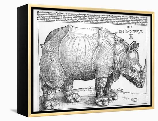 The Rhinoceros, 1515-Albrecht Dürer-Framed Premier Image Canvas