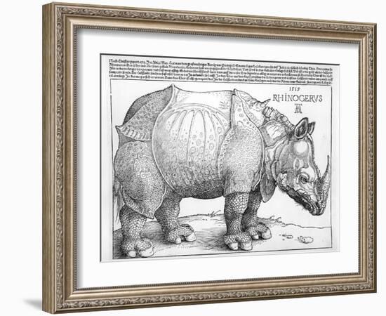 The Rhinoceros, 1515-Albrecht Dürer-Framed Giclee Print