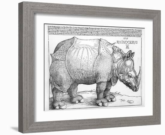 The Rhinoceros, 1515-Albrecht Dürer-Framed Giclee Print