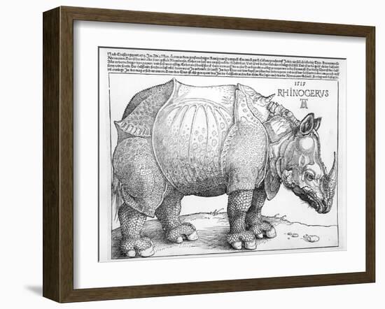 The Rhinoceros, 1515-Albrecht Dürer-Framed Giclee Print