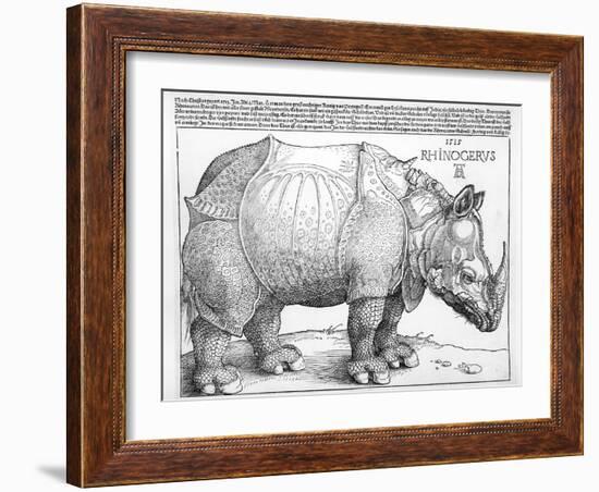 The Rhinoceros, 1515-Albrecht Dürer-Framed Giclee Print