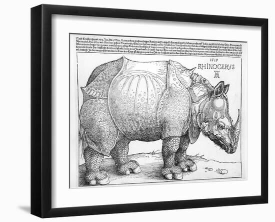 The Rhinoceros, 1515-Albrecht Dürer-Framed Giclee Print