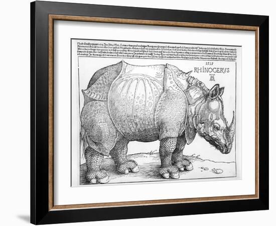 The Rhinoceros, 1515-Albrecht Dürer-Framed Giclee Print