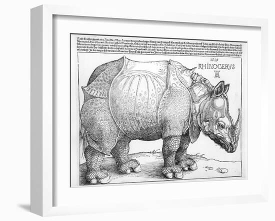 The Rhinoceros, 1515-Albrecht Dürer-Framed Giclee Print