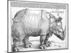 The Rhinoceros, 1515-Albrecht Dürer-Mounted Giclee Print