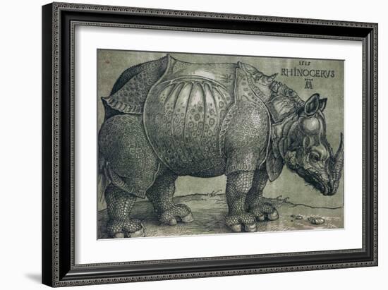 The Rhinoceros, 1515-Albrecht Dürer-Framed Giclee Print