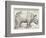 The Rhinoceros-Albrecht Dürer-Framed Premium Giclee Print