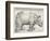 The Rhinoceros-Albrecht Dürer-Framed Premium Giclee Print