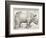 The Rhinoceros-Albrecht Dürer-Framed Premium Giclee Print