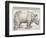 The Rhinoceros-Albrecht Dürer-Framed Premium Giclee Print