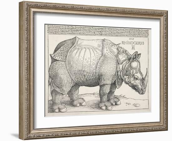 The Rhinoceros-Albrecht Dürer-Framed Art Print