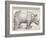 The Rhinoceros-Albrecht Dürer-Framed Art Print