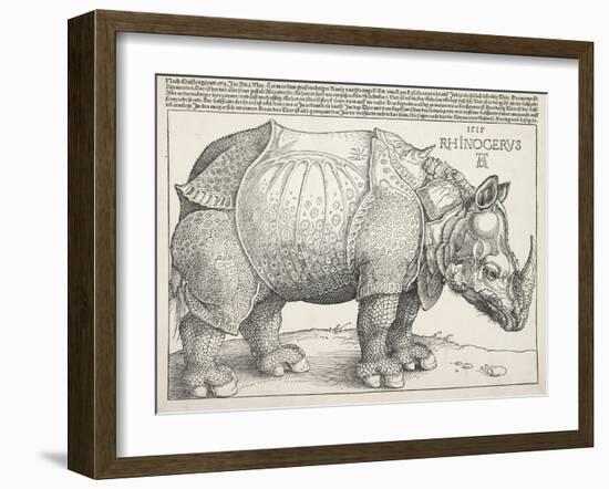 The Rhinoceros-Albrecht Dürer-Framed Art Print